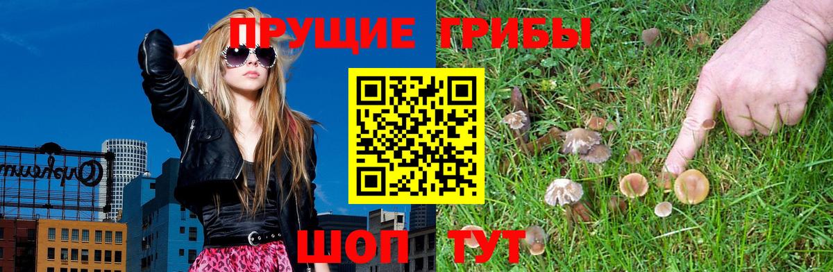 Псилоцибиновые грибы GOLDEN TEACHER Уссурийск
